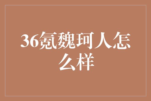 36氪魏珂人怎么样