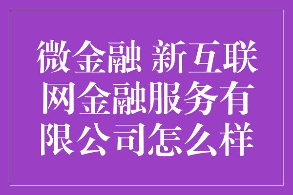 微金融 新互联网金融服务有限公司怎么样