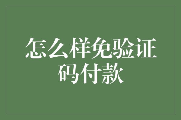 怎么样免验证码付款