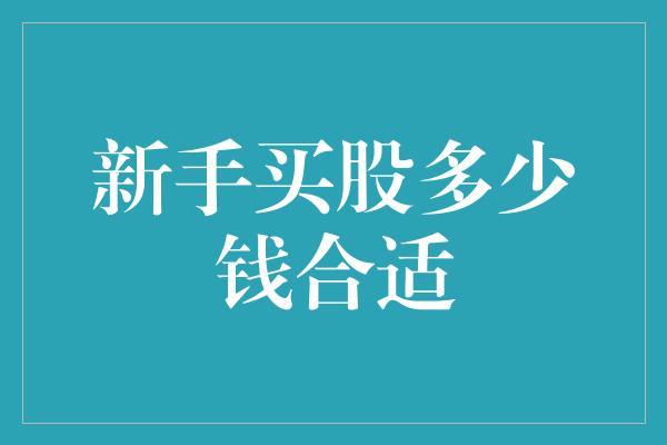 新手买股多少钱合适