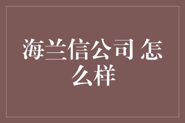 海兰信公司 怎么样